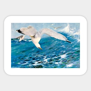 Seagull flying over the ocean. Sticker
